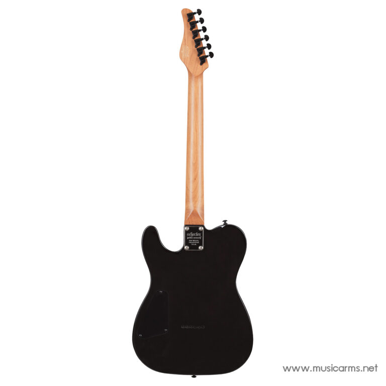 Schecter PT Standard ขายราคาพิเศษ