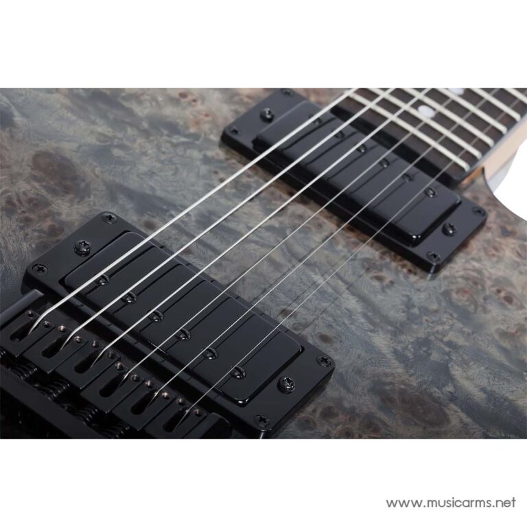 Schecter PT Standard ขายราคาพิเศษ