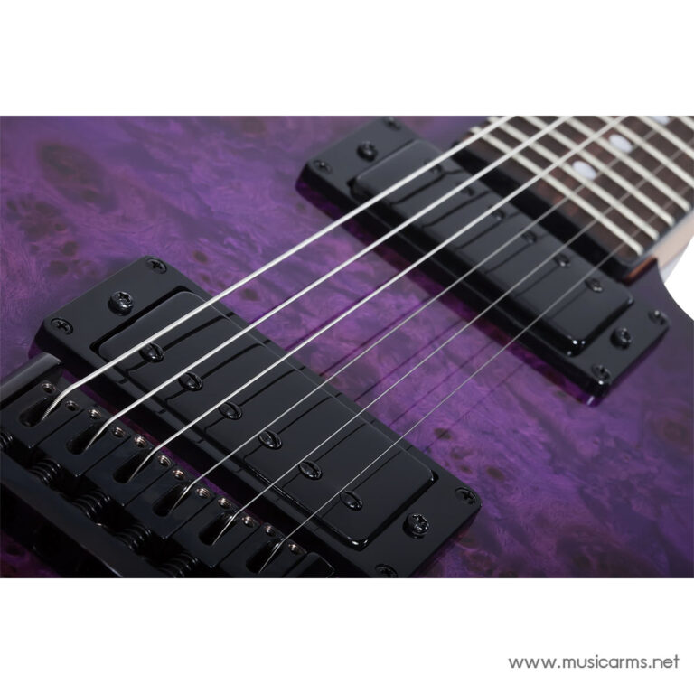 Schecter PT Standard ขายราคาพิเศษ