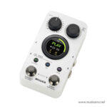 Mooer GL100 ขายราคาพิเศษ