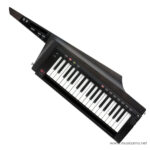 Korg RK100S2 ลดราคาพิเศษ