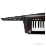 Korg RK100S2 ขายราคาพิเศษ